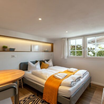 sunny-bijou-wengen-apartment-rental-14