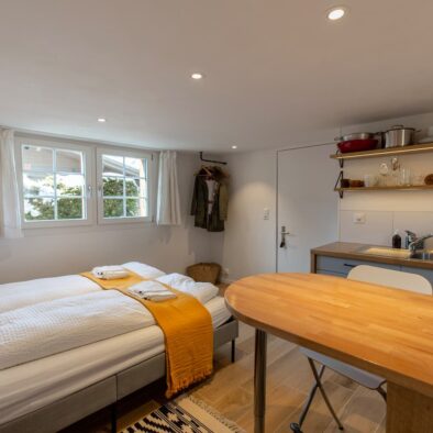 sunny-bijou-wengen-apartment-rental-19