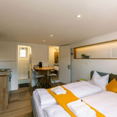 sunny-bijou-wengen-apartment-rental-24