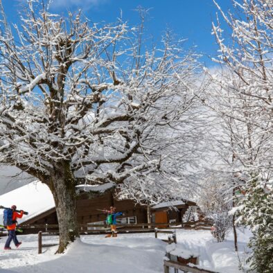 sunny-bijou-wengen-apartment-rental-35
