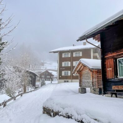 sunny-bijou-wengen-apartment-rental-36