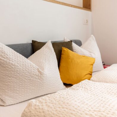 sunny-bijou-wengen-apartment-rental-7