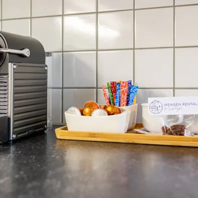 wengen-ferienwohnung-apartment-rental-luise-studio-14