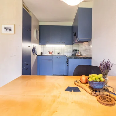 wengen-ferienwohnung-apartment-rental-luise-studio-16