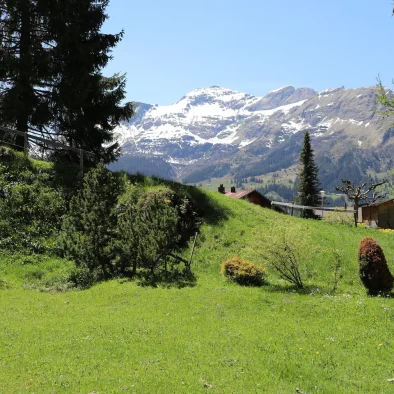 wengen-ferienwohnung-apartment-rental-luise-studio-25