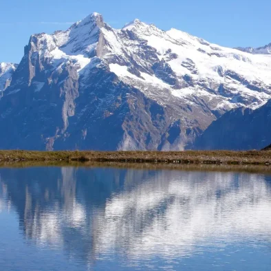 wengen-ferienwohnung-apartment-rental-luise-studio-43