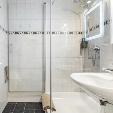 wengen-ferienwohnung-apartment-rental-luise-studio-5