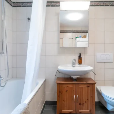 wengen-rentals-holiday-apartment-22