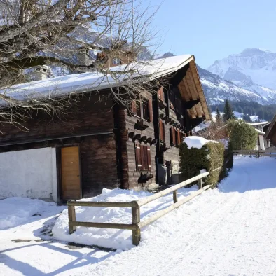 wengen-switzerland-apartment-rental-33