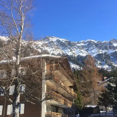 wengen-switzerland-apartment-rental-35