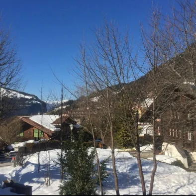 wengen-switzerland-apartment-rental-36