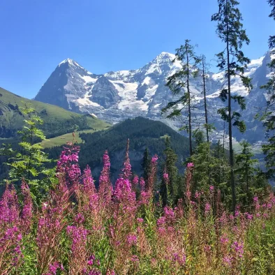 wengen-switzerland-apartment-rental-40