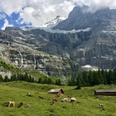 wengen-switzerland-apartment-rental-41