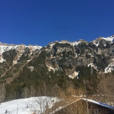 wengen-switzerland-apartment-rental-45