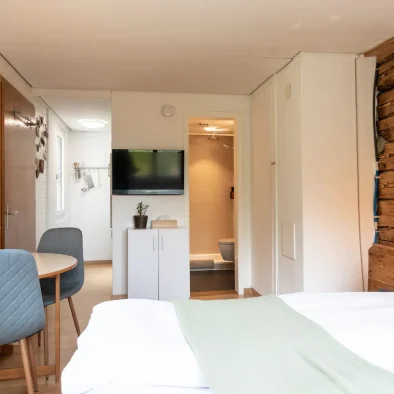 wengen-switzerland-apartment-rental-5